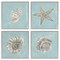 Stupell Industries Beige & Blue Sea Life 4 pc Framed Giclee Wall Art Set Design by Julie Derice